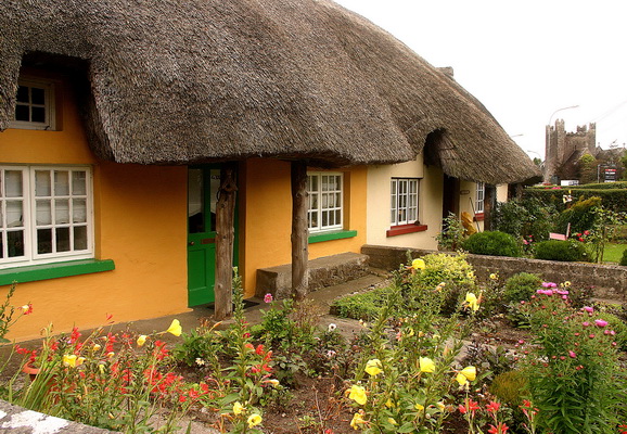 做一天的爱尔兰农民